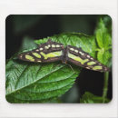 Search for vibrant mousepads Green