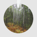 Search for rocky mountain ornaments Nature