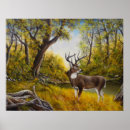 Recherche de de cerfs communs Ours