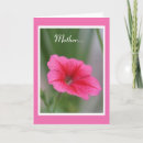 Search for annuals cards Mother