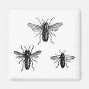 Search for bee illustration magnets Bees