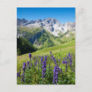 Search for meadows postcards Outdoors