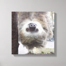 Recherche de copie animale photographie Toile