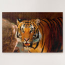 Search for predator puzzles Animals