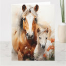 Search for foal cards Animal