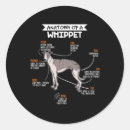 Search for whippet stickers Greyhound
