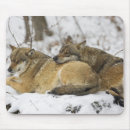 Recherche de froid tapis souris Repos
