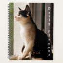 Recherche de chat tigré bureau fournitures Chaton