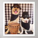 Search for funny dog pictures posters Dogs