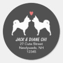 Recherche de de chiwawa autocollants Chihuahua