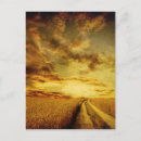 Search for old paper background postcards Antique