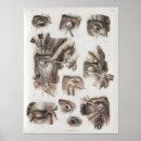 Recherche de optometry posters Eye
