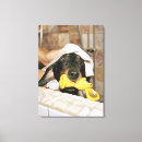 Search for bath canvas prints Humour