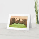 Search for rhino cards Wildlife