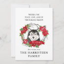 Search for alaskan malamute christmas cards Watercolor