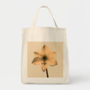 Recherche de amaryllis accessoires Plante