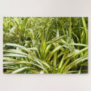 Recherche de indiens puzzles Feuille