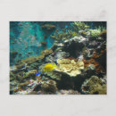 Recherche de monde sous marin cartes postales Poisson
