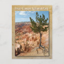 Search for arid vertical postcards Dry