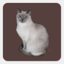 Search for cat with blue eyes stickers Pets