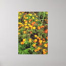 Search for vintage botanical canvas prints Nature