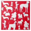 Recherche de chien berger carreaux Canine