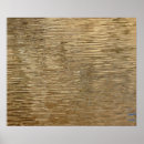 Recherche de trex posters Nature