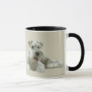 Recherche de miniature schnauzer tasses Terrier