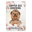 Recherche de marcheurs magnets Marcheur de chiens