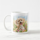 Recherche de longs chiens tasses Pour animaux