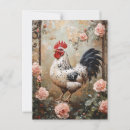 Search for speckled postcards Chicken