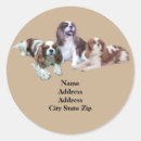 Search for king dad stickers Dog