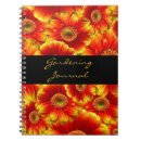 Recherche de gerbera orange Fleur