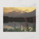 Search for clouds horizontal postcards Tree