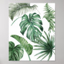 Recherche de motif palmier posters Jungle