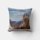 Recherche de la jolla coussins Côte