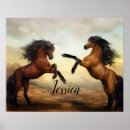 Recherche de stable posters Étalon
