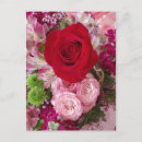 Search for assorted postcards Photograph