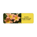 Search for daylily return address labels Pink