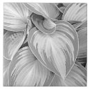 Search for botanical tiles Trendy
