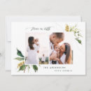 Search for peace photo cards Botanical