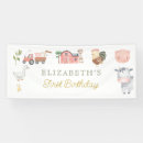 Search for chicken decor Birthday