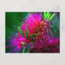 Search for neon flowers postcards Floral