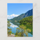 Search for mountain scenery and landscape postcards Forest
