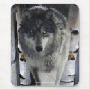 Search for alpha mousepads Wolf
