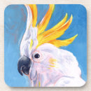 Recherche de oiseau exotique dessous de verres Oiseaux