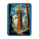 Search for sequoia magnets Sequoia national park