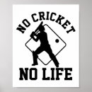 Search for cricket player posters Bowler