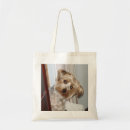 Search for yorkie bags Puppy
