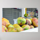 Search for coconut posters Florida